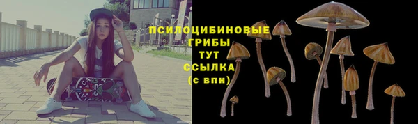 дживик Алексеевка