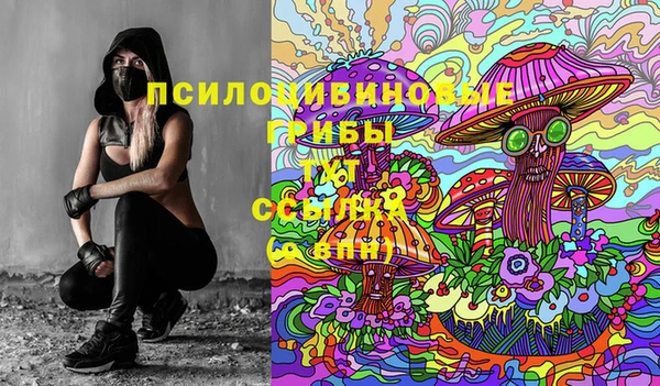 мдпв Алзамай