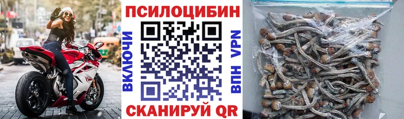 Галлюциногенные грибы мицелий  MEGA как войти  Пыталово 
